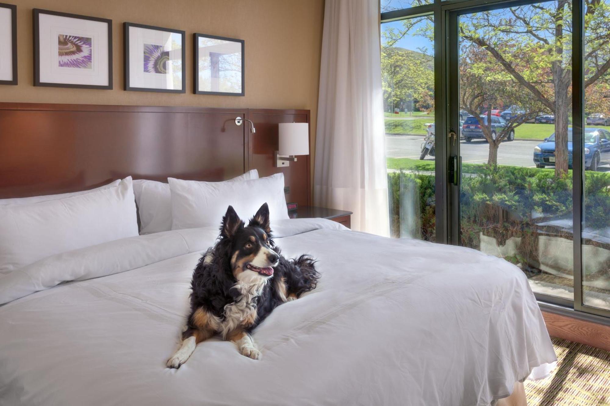 Salt Lake City Marriott University Park Екстериор снимка